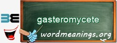 WordMeaning blackboard for gasteromycete